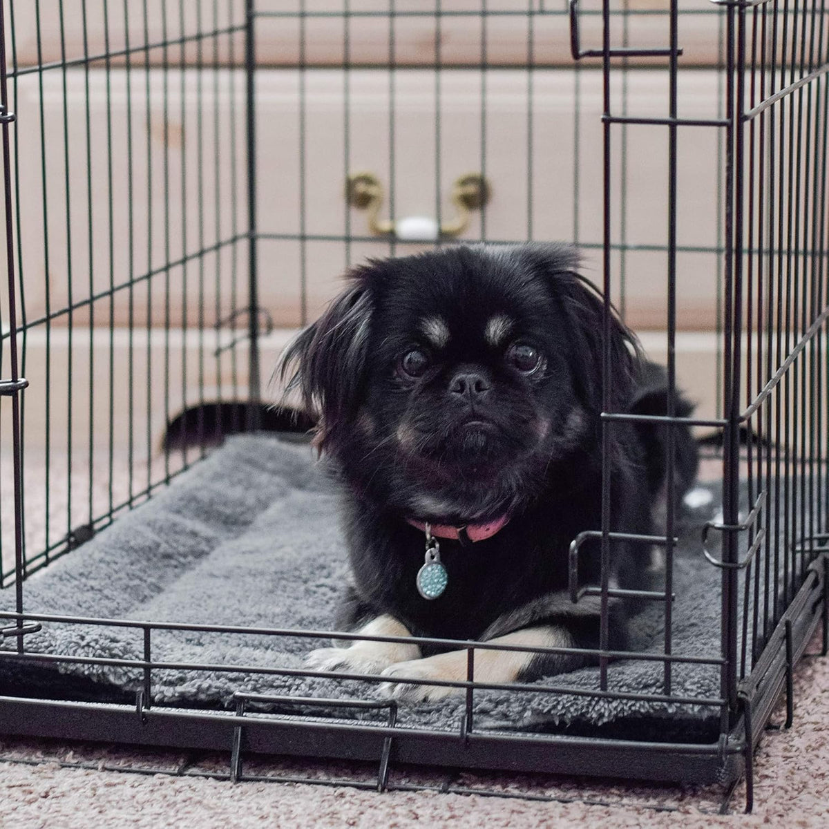 Self-Warming Pet Pad